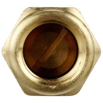 Delphi FA10016 FUEL PUMP CHECK VALVE