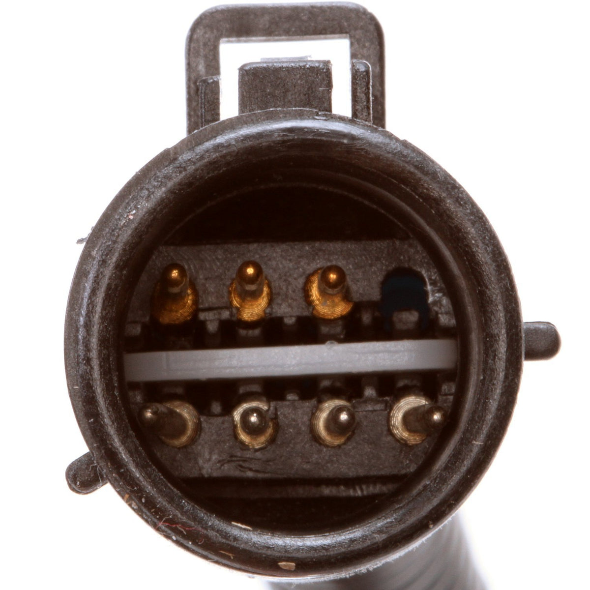 Delphi HP10134 FUEL PUMP AND SENDER ASSEMBLY
