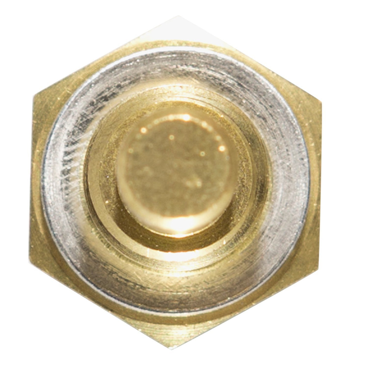 Delphi TS10253 ENGINE COOLANT TEMPERATURE SENSOR