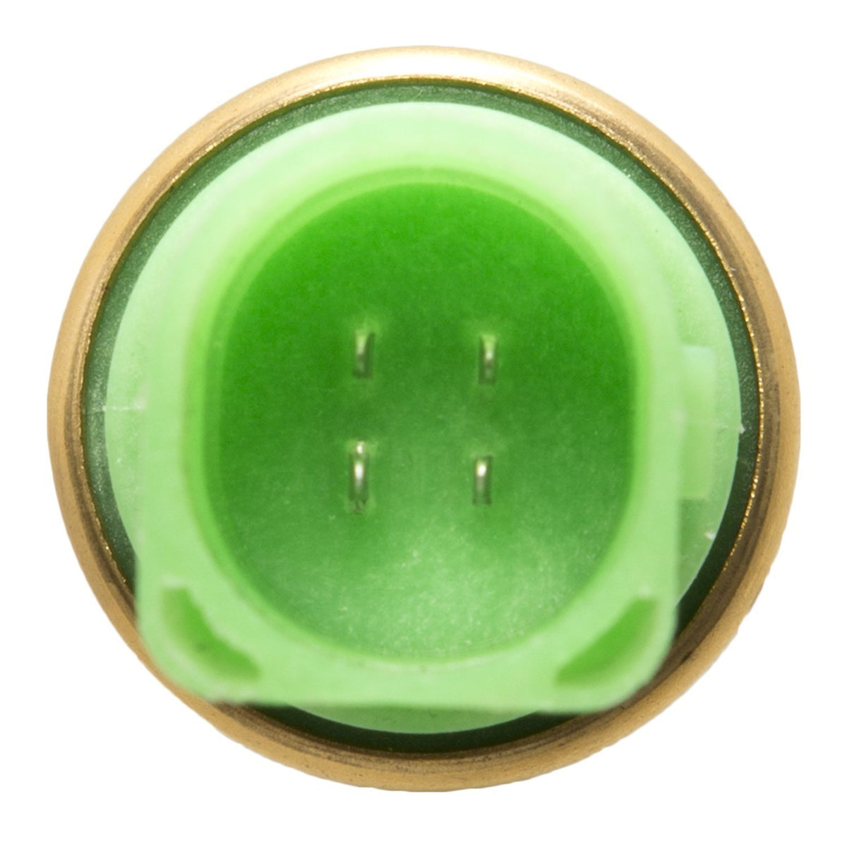 Delphi TS10236 Coolant Temperature Sensor