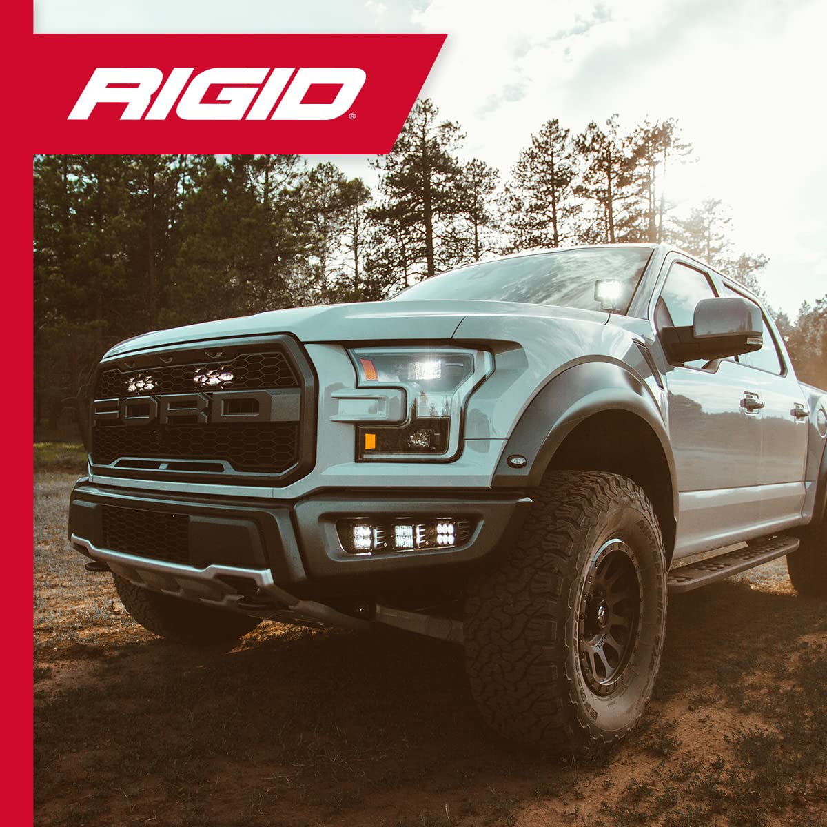 Rigid Industries 202513 RIGID INDUSTRIES D-Series PRO LED Light Pods Diffused, Pair