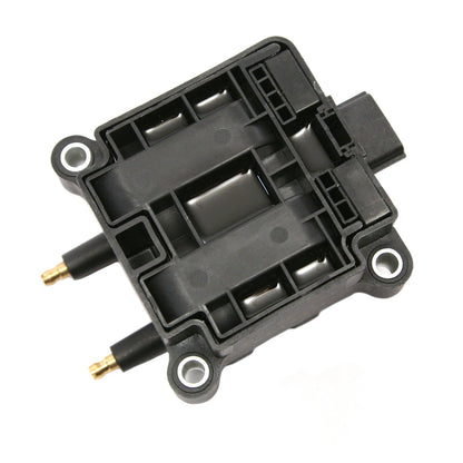 Delphi GN10220 Ignition Coil