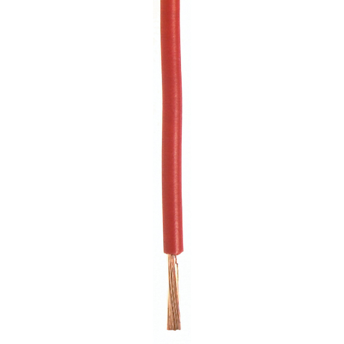 WIRTHCO 81066 WirthCo 81066 Battery Doctor Red 100' 12 Gauge General Purpose Primary Wire