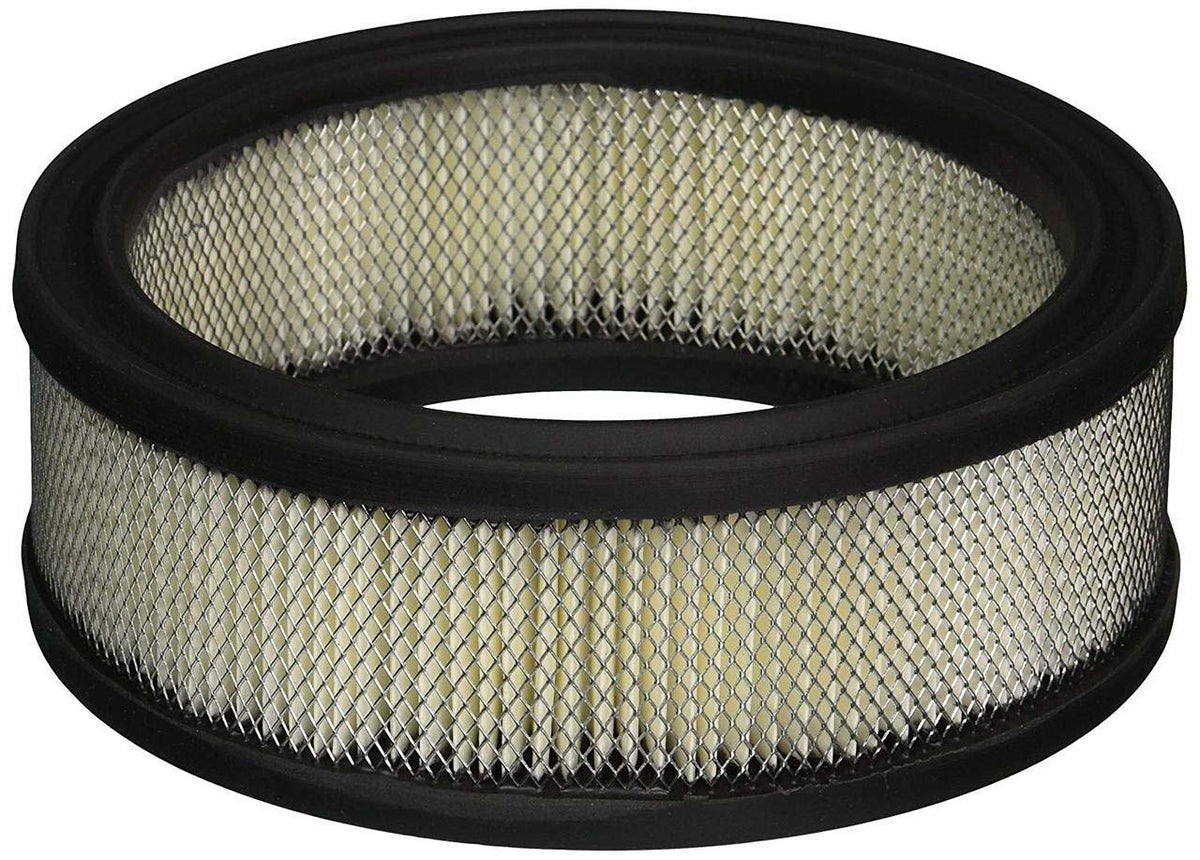 Baldwin Filters PA2069 AIR ELEMENT