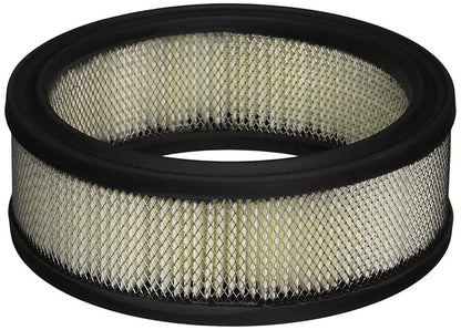 Baldwin Filters PA2069 AIR ELEMENT
