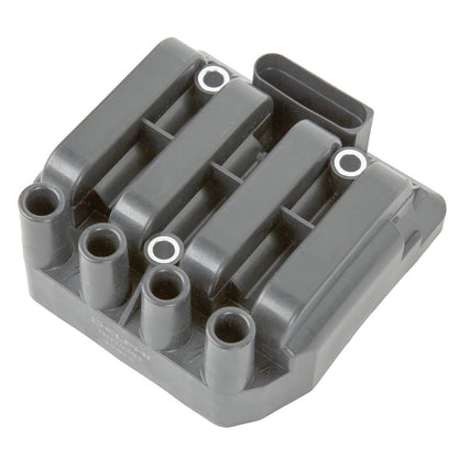 Delphi GN10383 IGNITION COIL