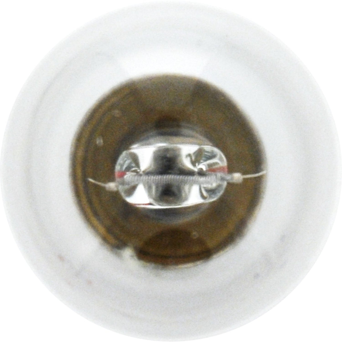 SYLVANIA 1141.TP SYLVANIA - 1141.TP 1141 Basic Miniature Bulb, (Contains 10 Bulbs)