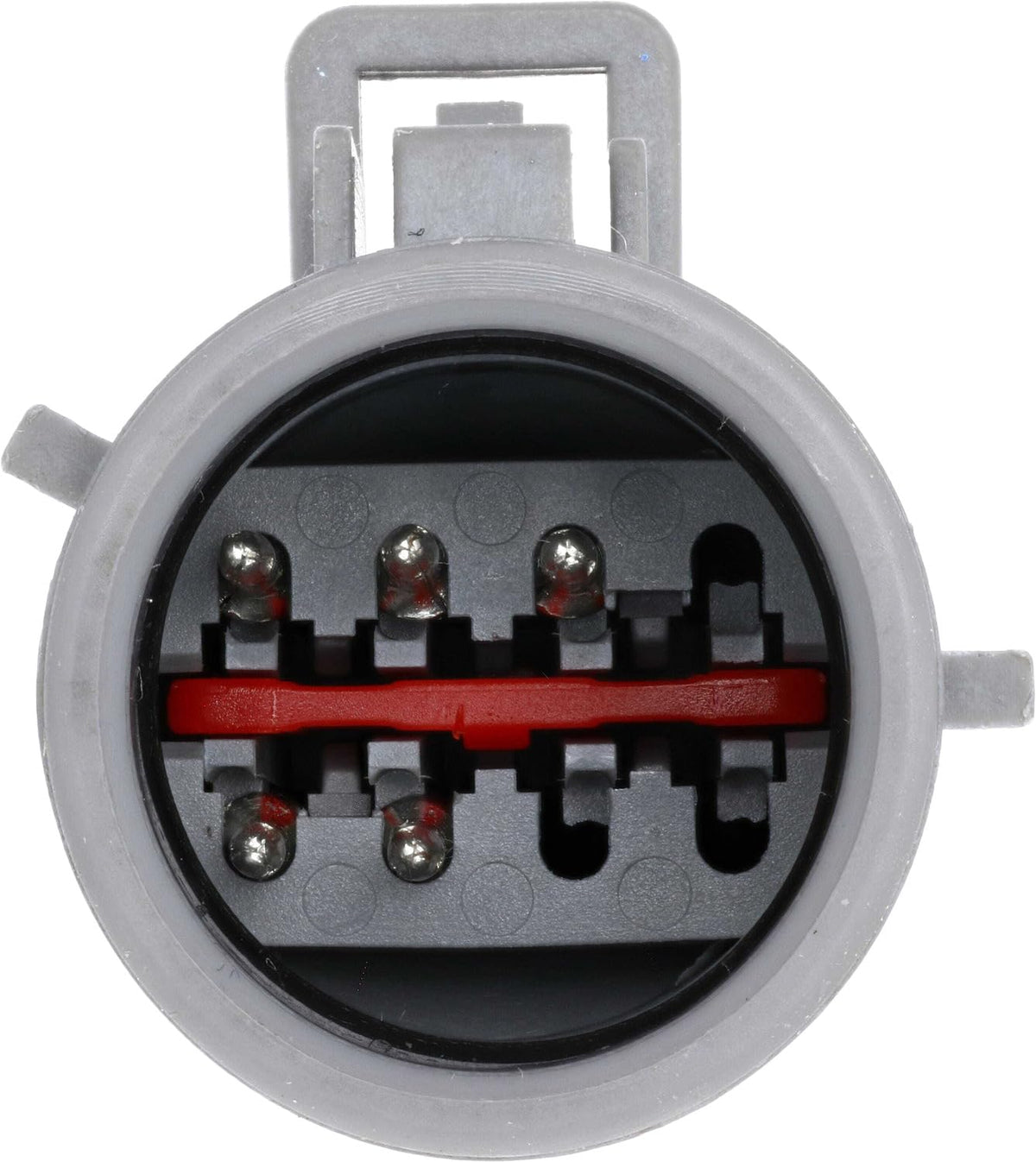 Delphi FG0870 FUEL PUMP MODULE ASSEMBLY