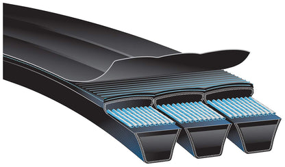 Gates 2/B80 Hi Power Ii Power Band Classical Section