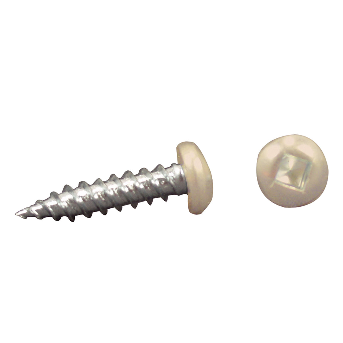 AP PRODUCTS 012-PSQ50CO 8 X 1 AP Products 012-PSQ50 CO 8 X 1 Colonial White Pan Head Square Recess Screw - Pack of 50