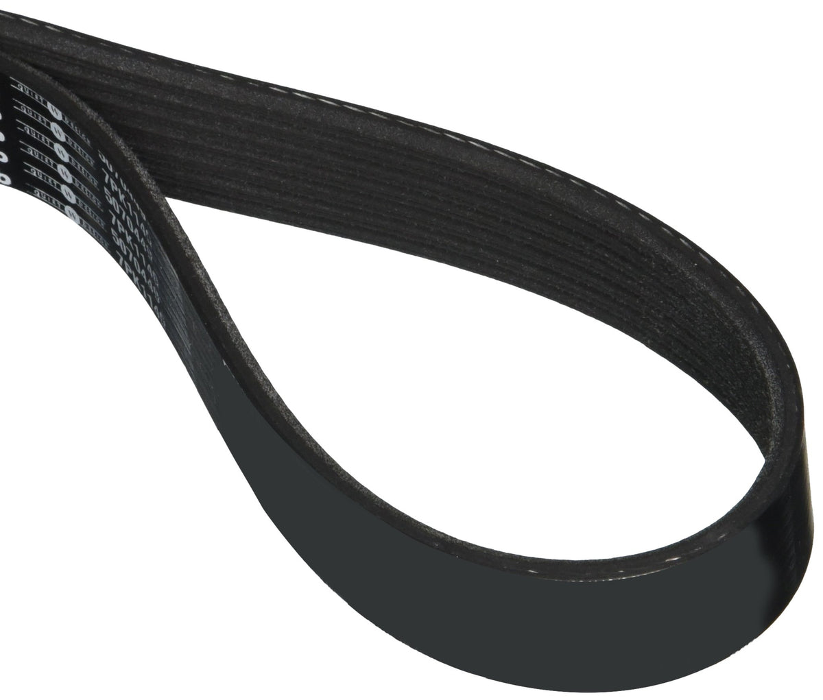 Dayco 5070449 POLY RIB Serpentine Belt