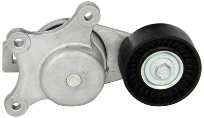 Motorcraft BT97 Tensioner (P