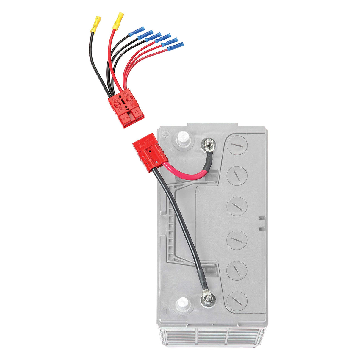 CONNECT EASE RCE12VB4K Connect-Ease Easy 4-Lead 12V Battery Connector Kit, Quick-Connect