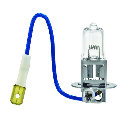 HELLA H3 24V HELLA H3 24V Standard Halogen Bulb, 70W
