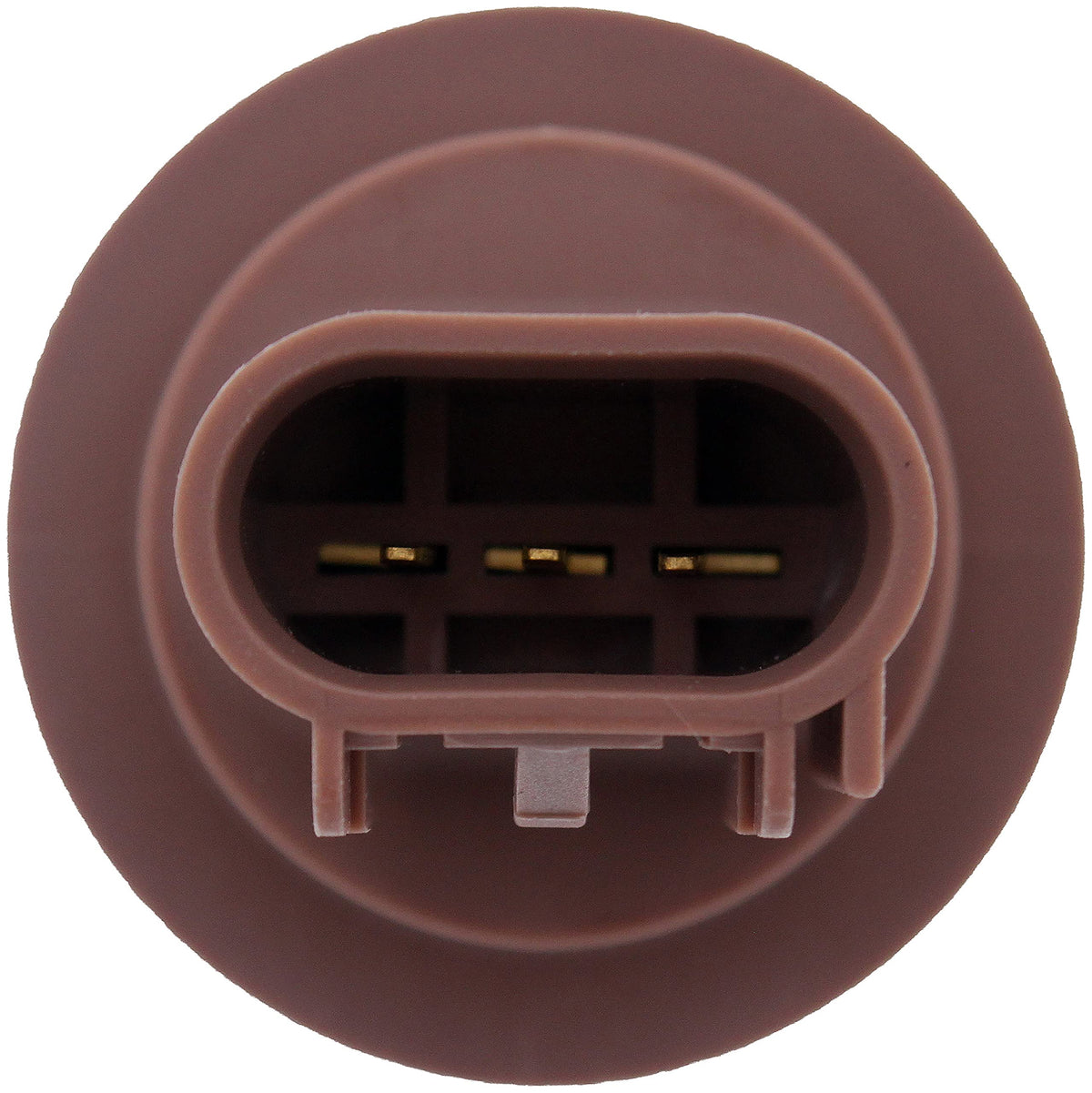 Dorman 645-121 Front Park and Turn Signal Socket