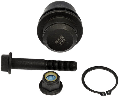 Dorman 539-892 Rear Upper Suspension Ball Joint