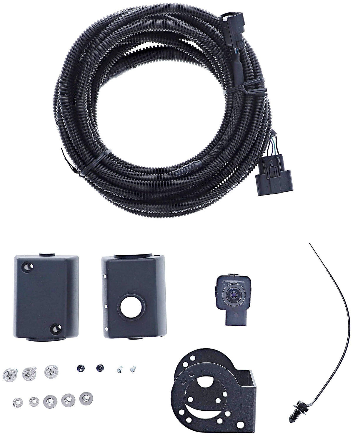 Dorman 590-013 Rear Park Assist Camera