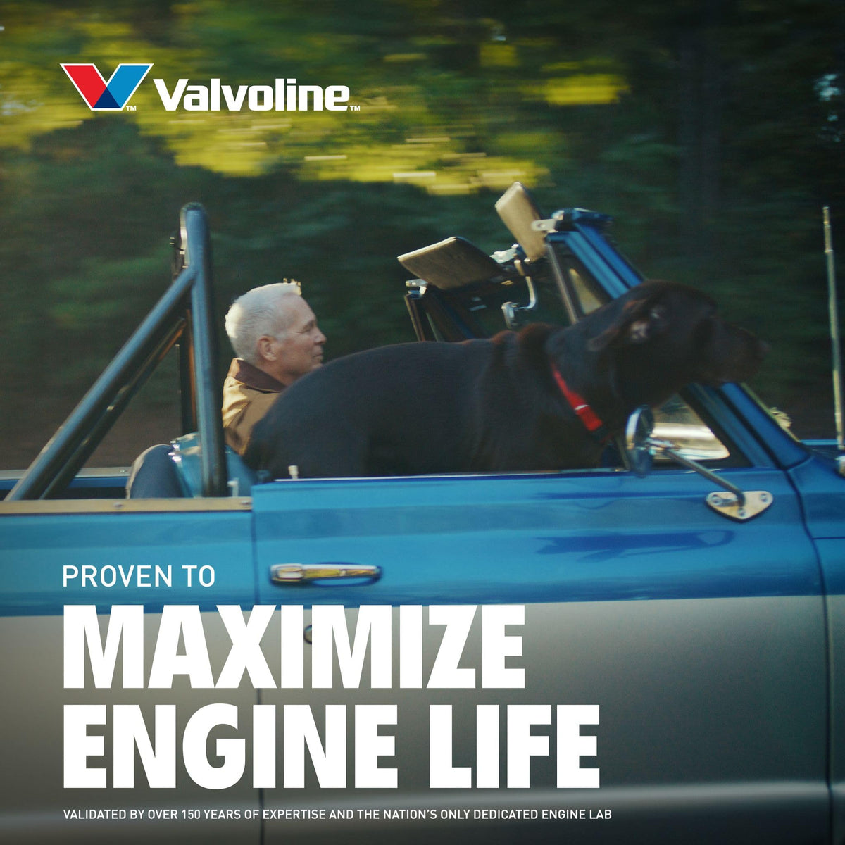 VALVOLINE 881162 Valvoline High Mileage with MaxLife Technology SAE 5W-20 Synthetic Blend Motor Oil 5 QT