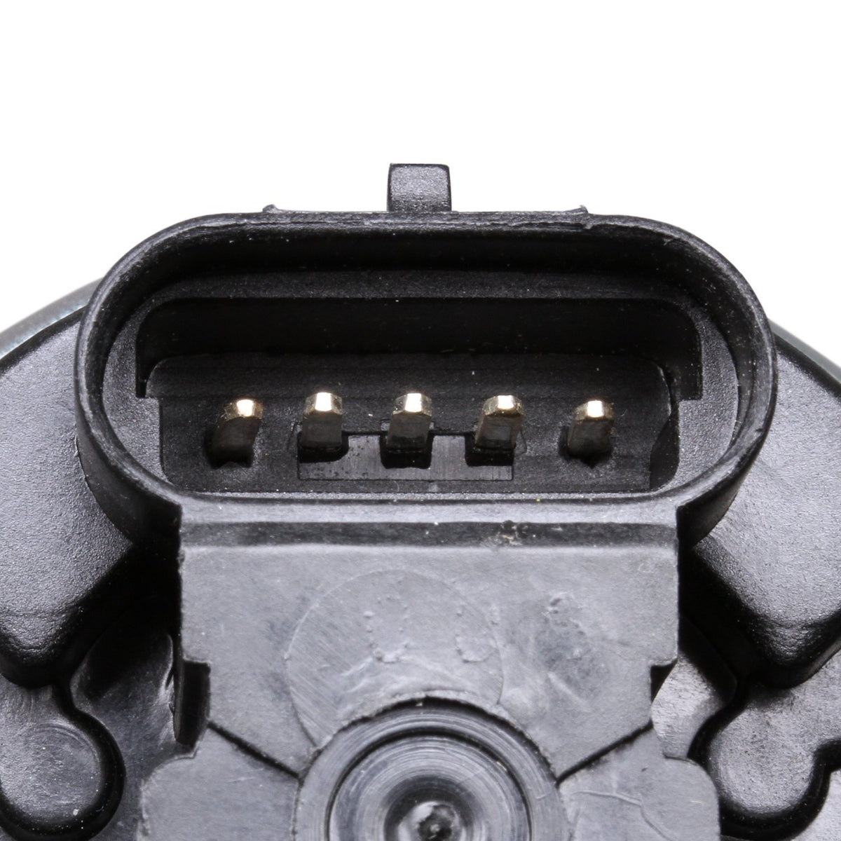 Delphi EG10175 Exhaust Gas Recirculation (EGR) Valve