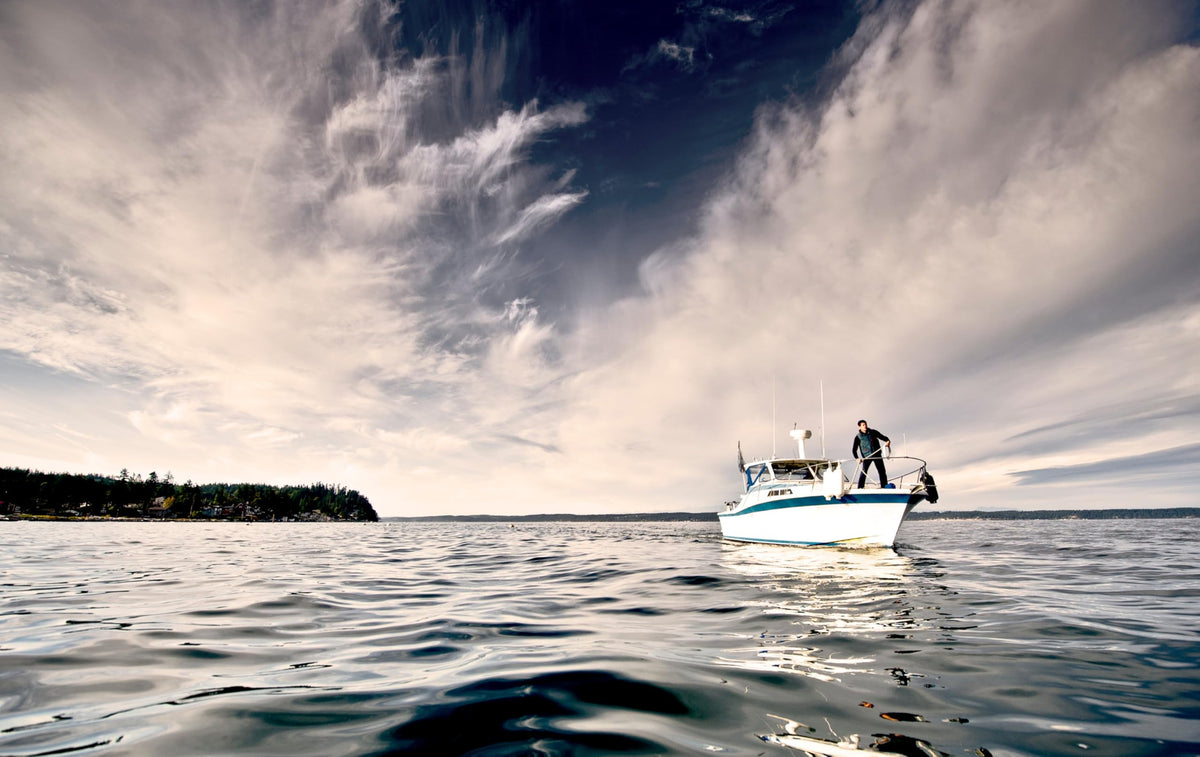POLYFORM 74-434-019 Polyform 74-434-019 8.8' X 26.8' TWIN EYE FENDER