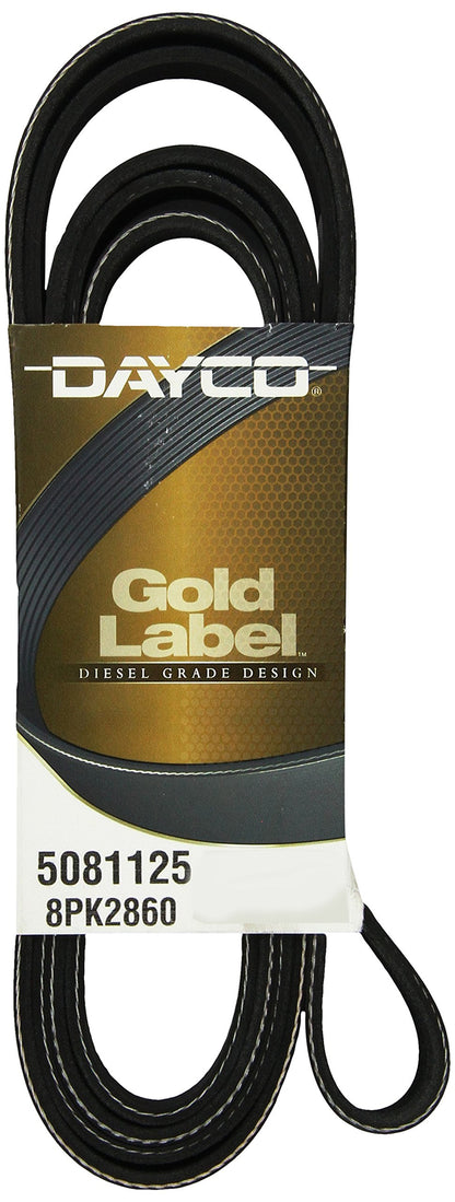 Dayco 5081125 INTLVIS 7.3L