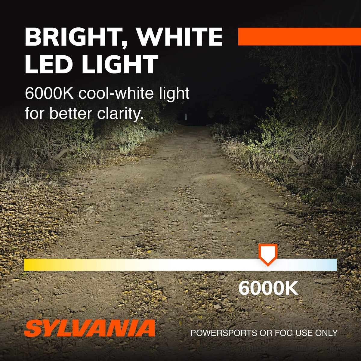 SYLVANIA H11SL.BX2 Sylvania H11 LED Powersport Headlight Bulbs for Off-Road Use or Fog Lights - 2 Pack