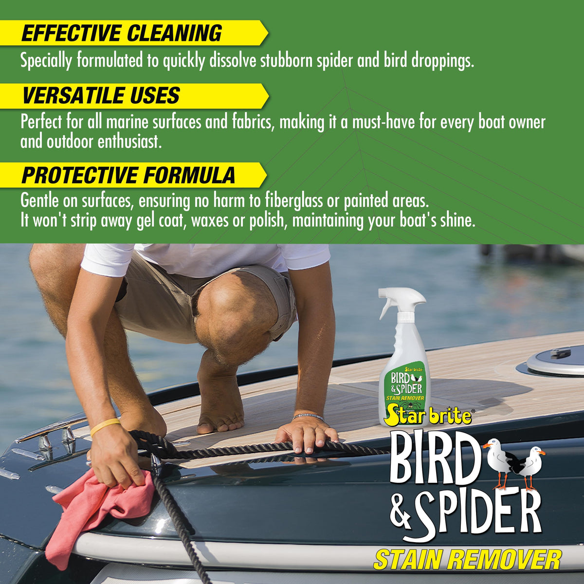 STAR BRITE 095122P Star Brite 095122P SPIDER & BIRD STAIN REMOVER 22 OZ.