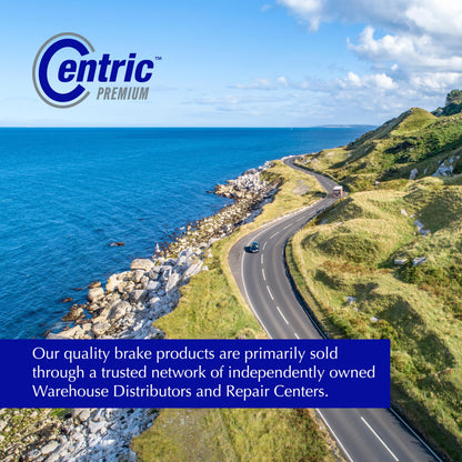 Centric Parts 122.67021 Premium Automotive Rear Brake Drum
