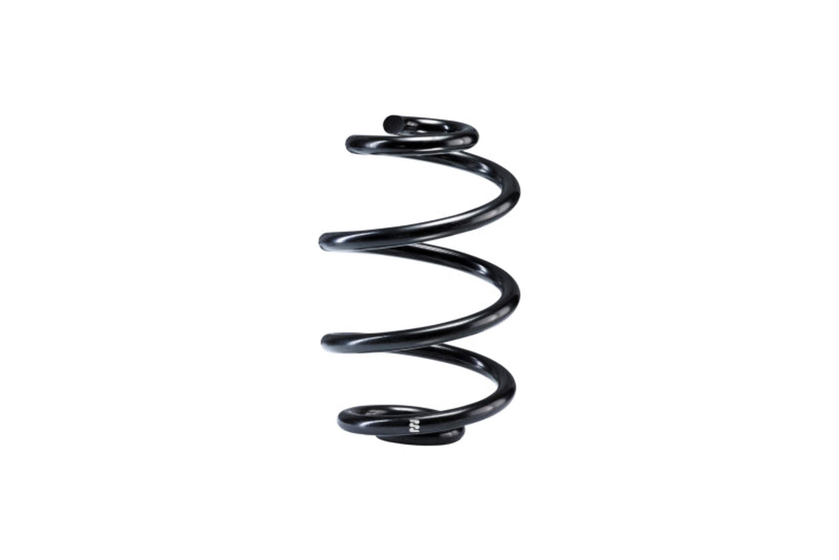 Eibach R10012 Eibach 1999-06 Volkswagen Golf MKIV 4 Cyl. Single Rear Spring